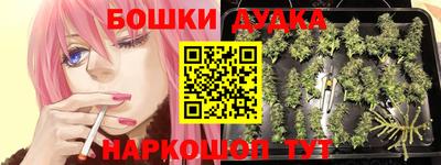 spice Малгобек