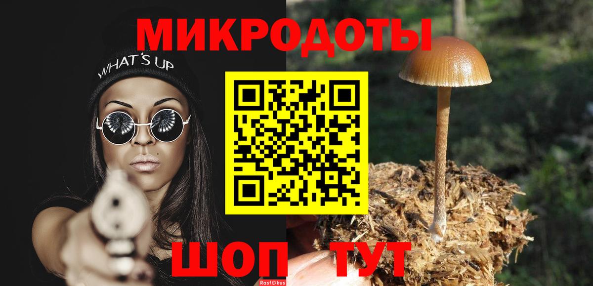 Выборг  Галлюциногенные грибы мухоморы  Вход с VPN 